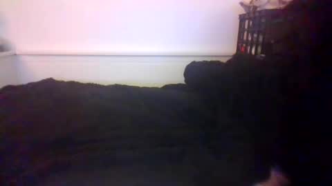 Snapshot of malebdsmslut chatting on October 20, 2025, 7:20 am CommandbondageNipples bondage kink submissive lovense slave wgear. modequiethvyBondage If Password goldfish online show from October 20, 2025, 7:20 am