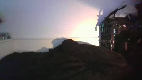 Snapshot of malebdsmslut chatting on November 7, 2025, 8:14 am CommandbondageNipples bondage kink submissive lovense slave wgear. modequiethvyBondage If Password goldfish online show from November 7, 2025, 8:14 am