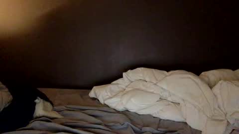 malefrench1 online show from March 25, 2026, 4:18 am