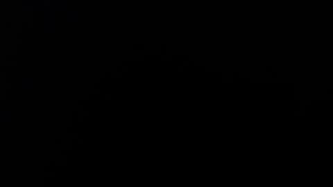 Alice Asylum online show from November 2, 2025, 12:13 am