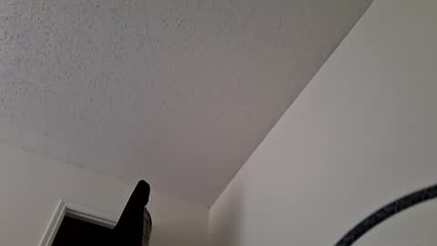 Jan and Man online show from March 31, 2026, 9:04 pm