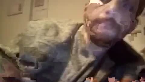 Snapshot of maniaksfucker chatting on January 18, 2025, 7:38 am LANGERFICK online show from January 18, 2025, 7:38 am