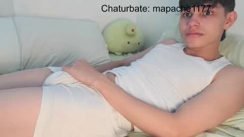 mapache1177 online show from February 25, 2026, 4:05 pm