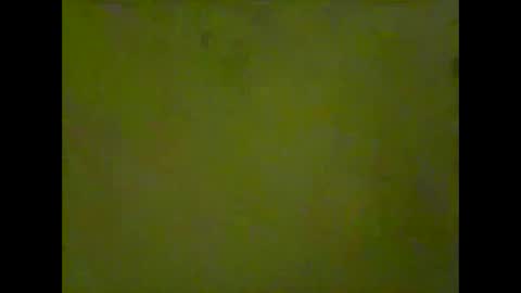 Snapshot of marcekir chatting on December 28, 2024, 12:45 pm marcekir online show from December 28, 2024, 12:45 pm