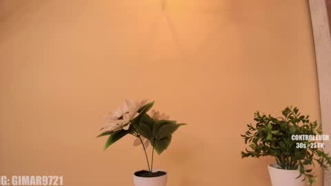 Snapshot of marcela_davila1 chatting on September 29, 2025, 1:22 am Marcela online show from September 29, 2025, 1:22 am