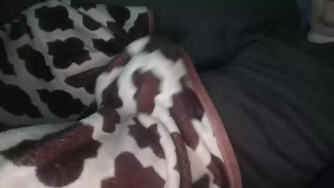 marek online show from November 14, 2025, 12:48 pm