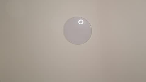 sofia online show from November 29, 2025, 8:06 am