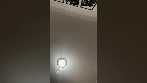 Snapshot of mariana_c chatting on February 25, 2026, 2:27 pm Mar y online show from February 25, 2026, 2:27 pm