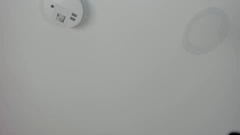 Maria Pettit online show from March 8, 2026, 12:53 pm