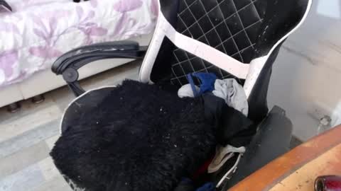 Snapshot of marilyn_lil chatting on February 26, 2025, 8:44 pm Marilyn online show from February 26, 2025, 8:44 pm