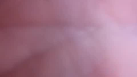 Snapshot of mark2711568331 chatting on November 4, 2025, 3:33 pm mark2711568331 online show from November 4, 2025, 3:33 pm