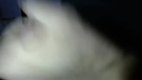 Snapshot of mark_270 chatting on April 3, 2026, 6:06 pm mark_270 online show from April 3, 2026, 6:06 pm