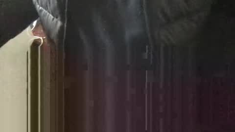 marklondonguy2023 online show from April 13, 2026, 3:50 pm