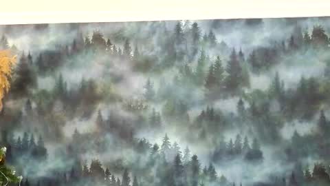 markshot_ online show from December 14, 2025, 10:58 pm