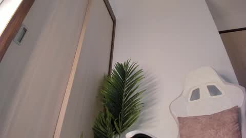 Snapshot of markus_blass chatting on December 29, 2024, 1:24 am markus... Y online show from December 29, 2024, 1:24 am