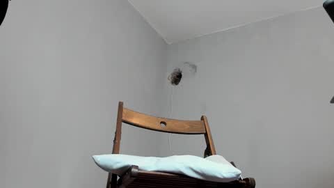 Snapshot of markwaynescr chatting on October 16, 2025, 12:06 pm MARK online show from October 16, 2025, 12:06 pm