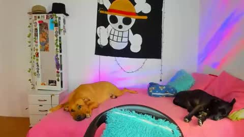 mary online show from April 18, 2026, 7:07 pm