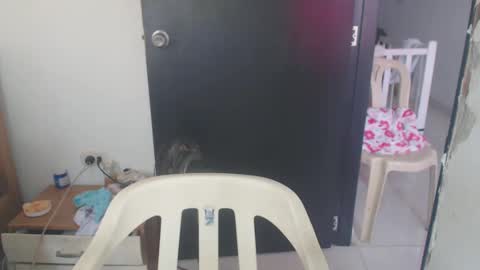 Snapshot of maryam_arabicmilk chatting on January 8, 2025, 3:07 pm maryam_arabicmilk online show from January 8, 2025, 3:07 pm