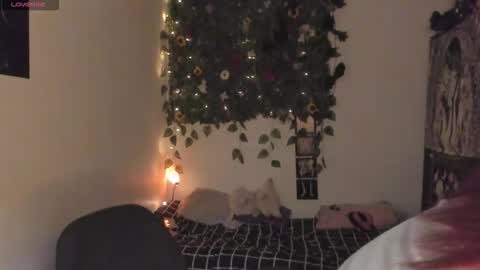 maria online show from December 15, 2025, 7:51 pm