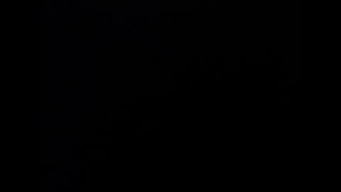 Marl online show from January 16, 2026, 4:49 am