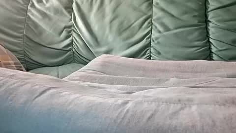 Snapshot of mathisdavid6757 chatting on November 9, 2025, 8:56 am mathisdavid6757 online show from November 9, 2025, 8:56 am