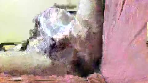 joyaam79 online show from April 3, 2026, 11:30 am