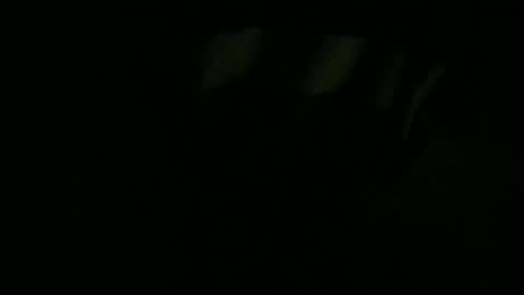 Lira online show from January 13, 2026, 11:04 am