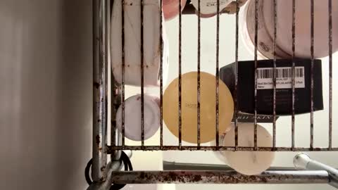 Max online show from October 14, 2025, 7:36 pm