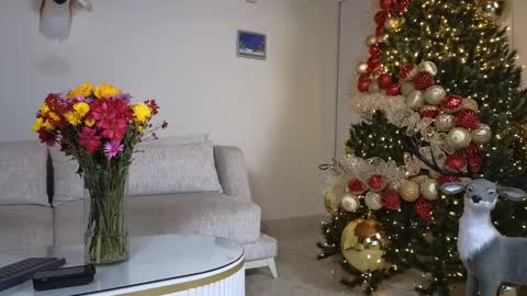 Snapshot of maximohoot chatting on December 7, 2024, 1:14 am Sebastian online show from December 7, 2024, 1:14 am