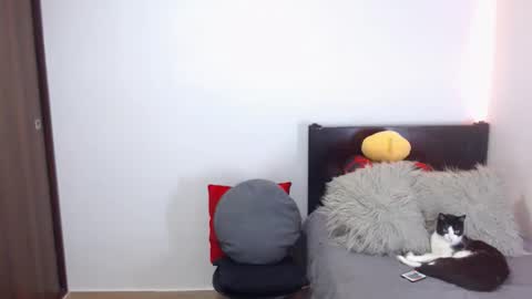 Independent Model online show from February 18, 2026, 2:51 am