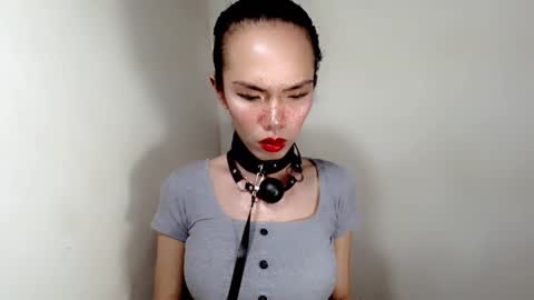 mayamint online show from November 20, 2025, 10:59 am