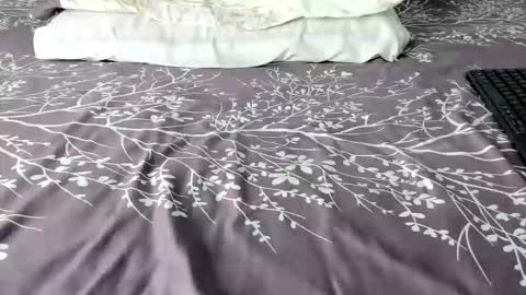 Maybelline69 online show from February 6, 2026, 8:45 pm