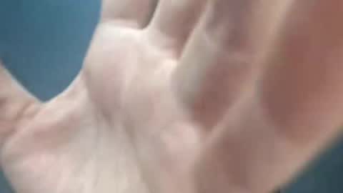 Megan and sophi online show from March 5, 2026, 2:07 am