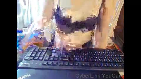 meimei_888 online show from January 17, 2026, 2:11 pm