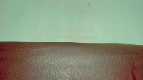 Snapshot of melania_browis chatting on June 15, 2026, 4:36 am Melania online show from June 15, 2026, 4:36 am
