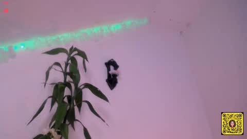 melissa online show from September 20, 2025, 1:56 pm