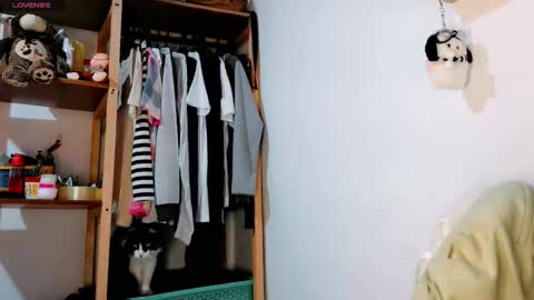  Carol - Dany  online show from February 20, 2026, 6:19 pm