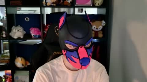 MellPUP online show from June 11, 2026, 6:28 pm