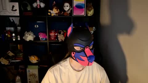 MellPUP online show from June 15, 2026, 11:23 am