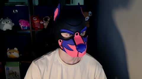 MellPUP online show from June 16, 2026, 11:46 am