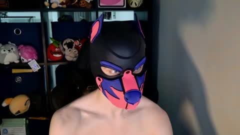 MellPUP online show from June 20, 2026, 3:15 pm