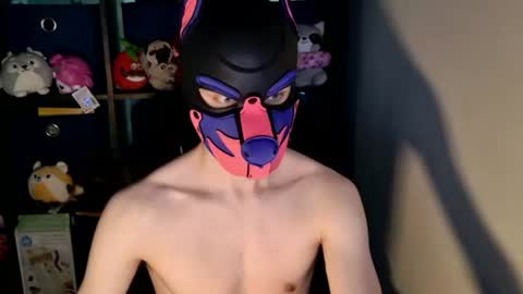 MellPUP online show from June 24, 2026, 12:15 pm