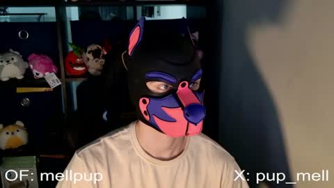 MellPUP online show from June 25, 2026, 1:04 pm
