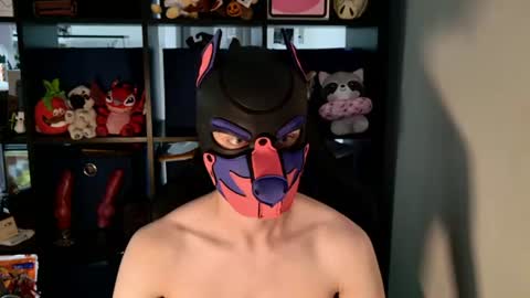 MellPUP online show from July 14, 2026, 6:13 pm