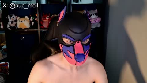 MellPUP online show from August 4, 2026, 3:47 pm