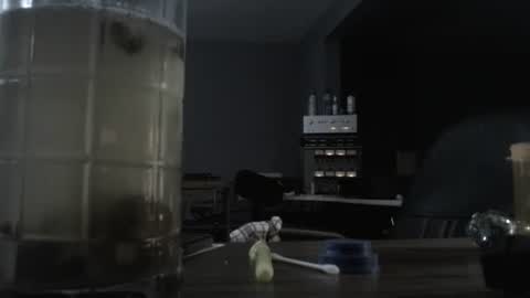 I am usually high and horny...lol online show from October 21, 2025, 12:44 am