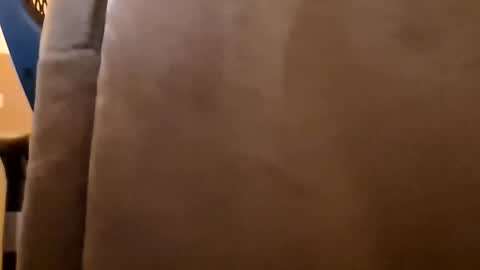 Snapshot of mendosajuan chatting on January 6, 2026, 4:32 pm DutchFun Cock online show from January 6, 2026, 4:32 pm