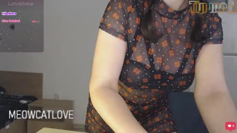 Snapshot of meowcatlove chatting on December 6, 2024, 10:08 pm meowcatlove online show from December 6, 2024, 10:08 pm