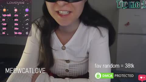 Snapshot of meowcatlove chatting on February 6, 2025, 8:34 pm meowcatlove online show from February 6, 2025, 8:34 pm
