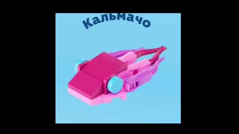 meowcr online show from February 27, 2026, 2:17 pm